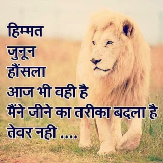 Himmat Shayari